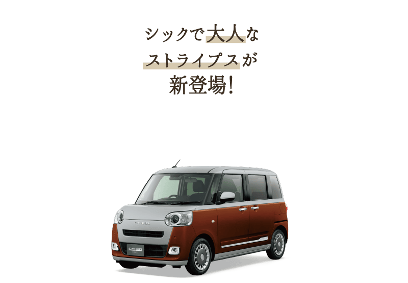 シックで大人なストライプスが新登場！